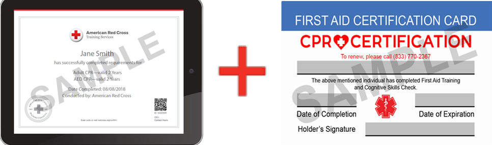 Sample American Red Cross BLS CPR Card Certification and First Aid Certification Card from CPR Certification